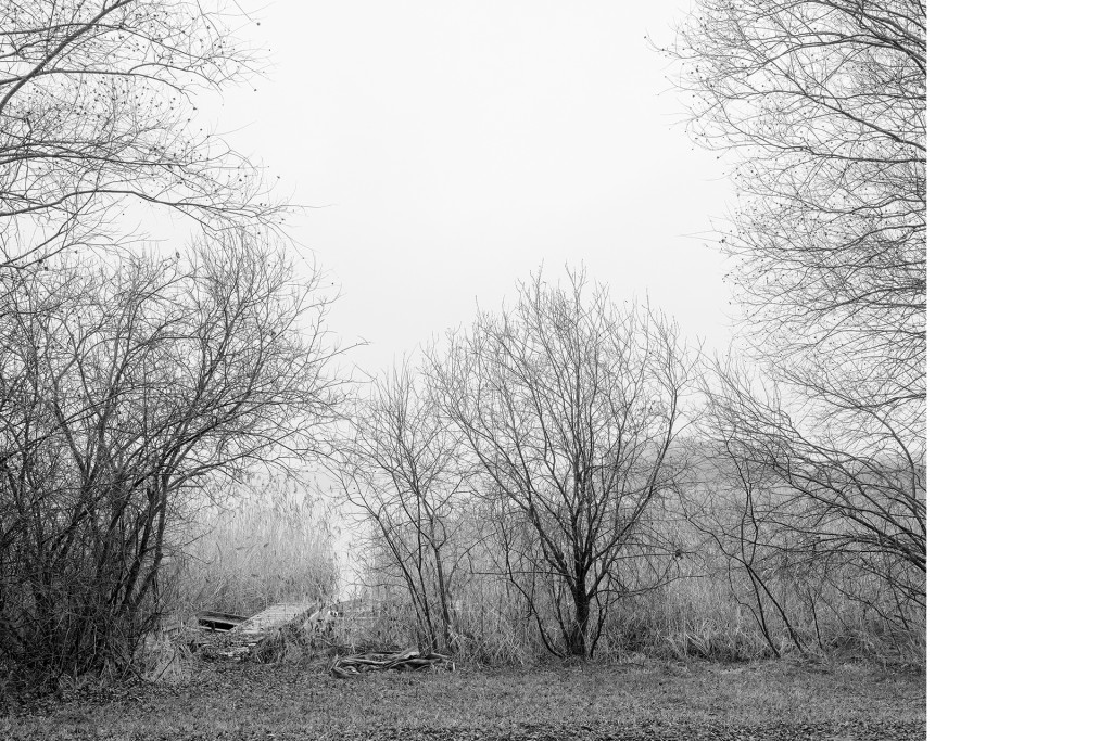 Fotografie Der Weg #28, aus dem Projekt 