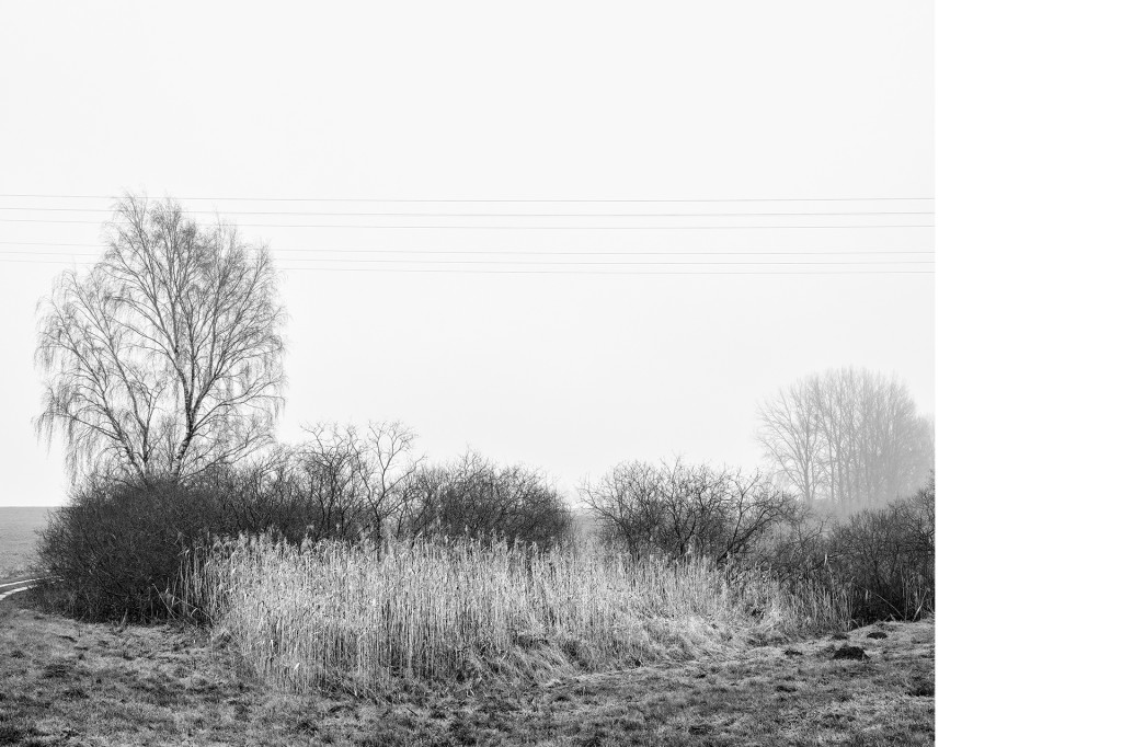 Fotografie Der Weg #23, aus dem Projekt 