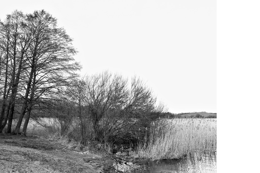 Fotografie Der Weg #32, aus dem Projekt 