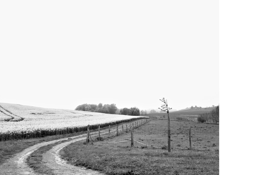 Der Weg #7, aus dem Projekt 