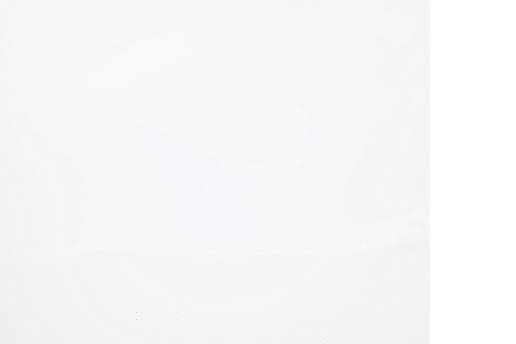 Schneefeld im Nebel Lindetal, Mecklenburgische Seenplatte, Projekt 