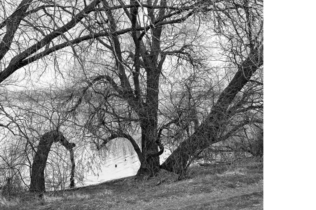 Der Weg #19, aus dem Projekt 