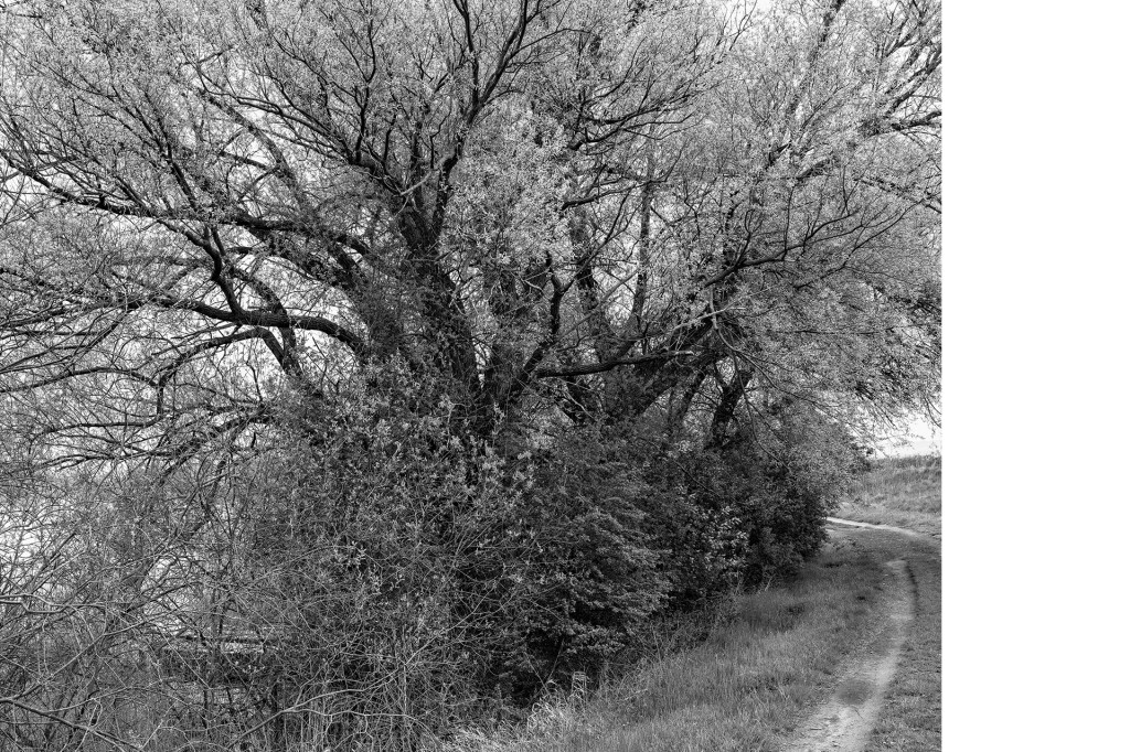 Der Weg #18, aus dem Projekt 