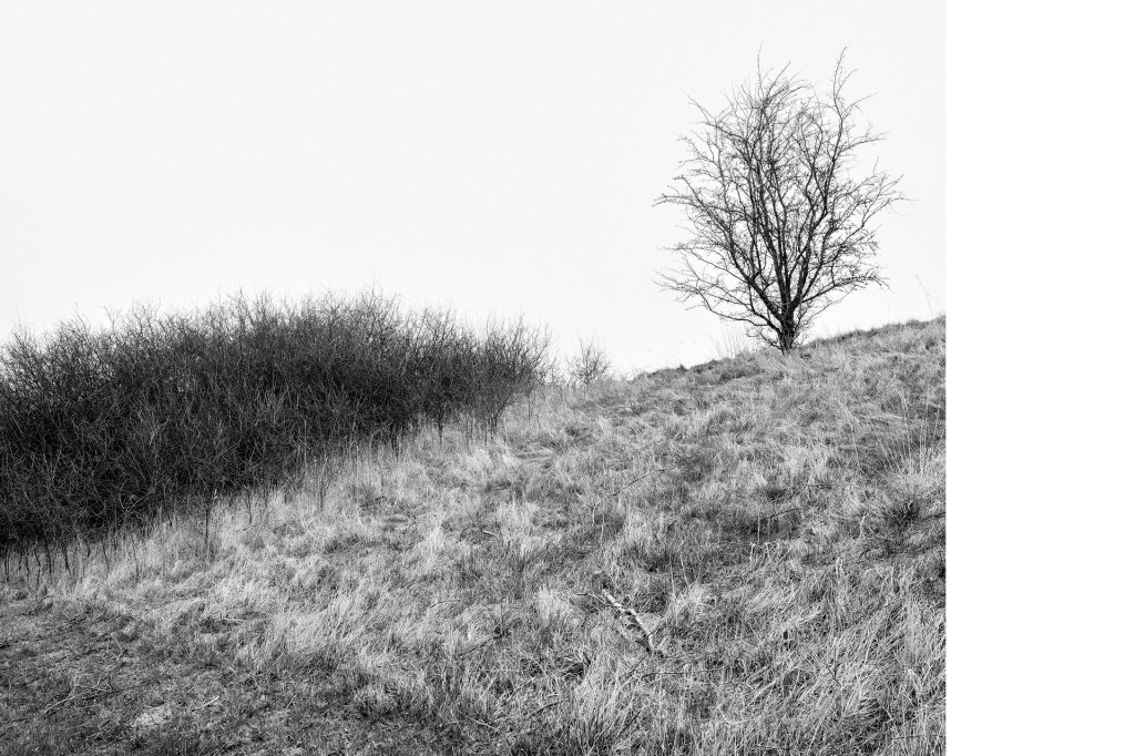 Fotografie Der Weg #15, aus dem Projekt 