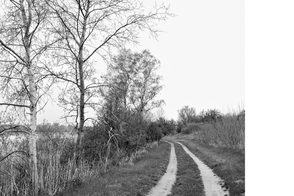 Der Weg #16, aus dem Projekt 