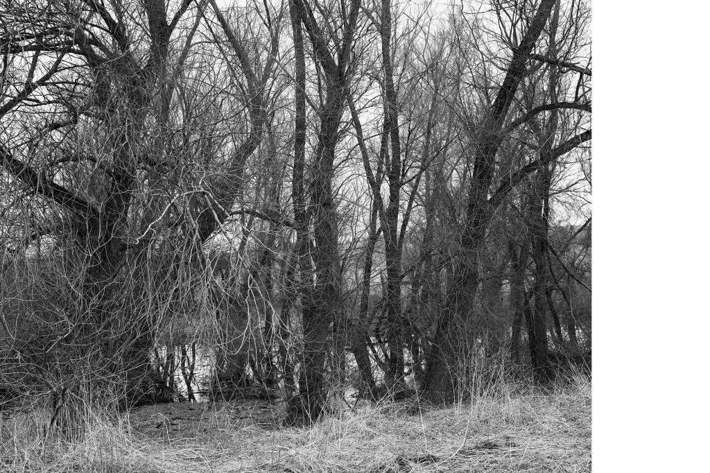 Der Weg #8, aus dem Projekt 