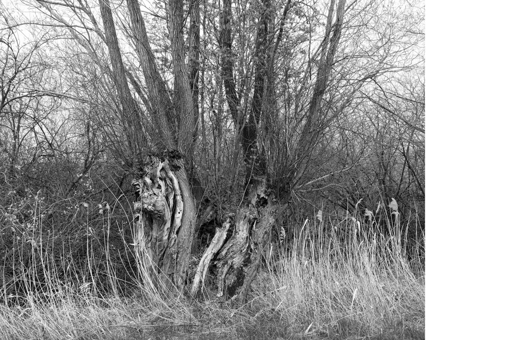 Der Weg #27, aus dem Projekt 