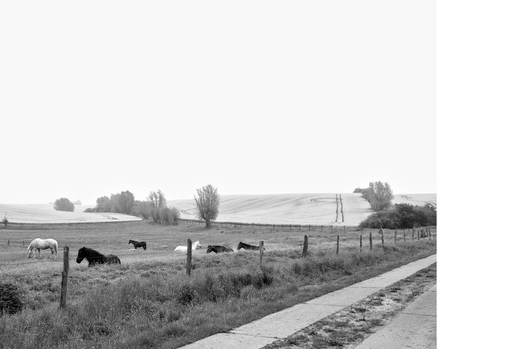 Der Weg #4, aus dem Projekt 