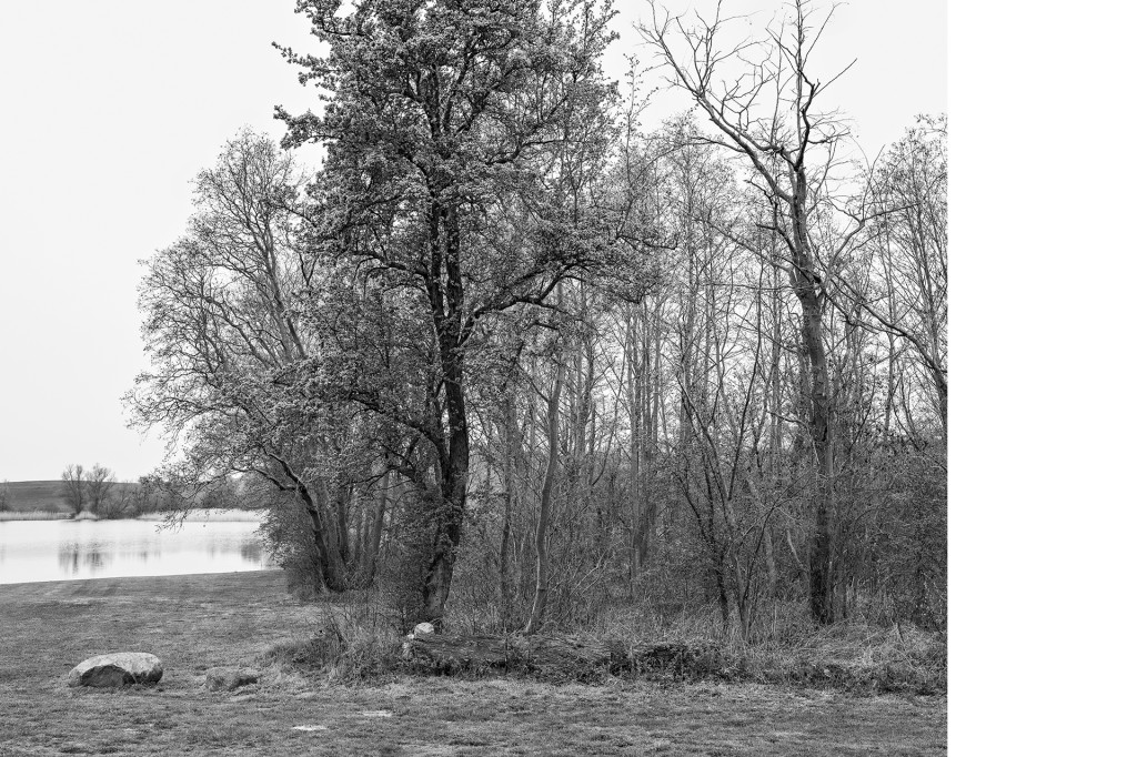 Der Weg #12, aus dem Projekt 