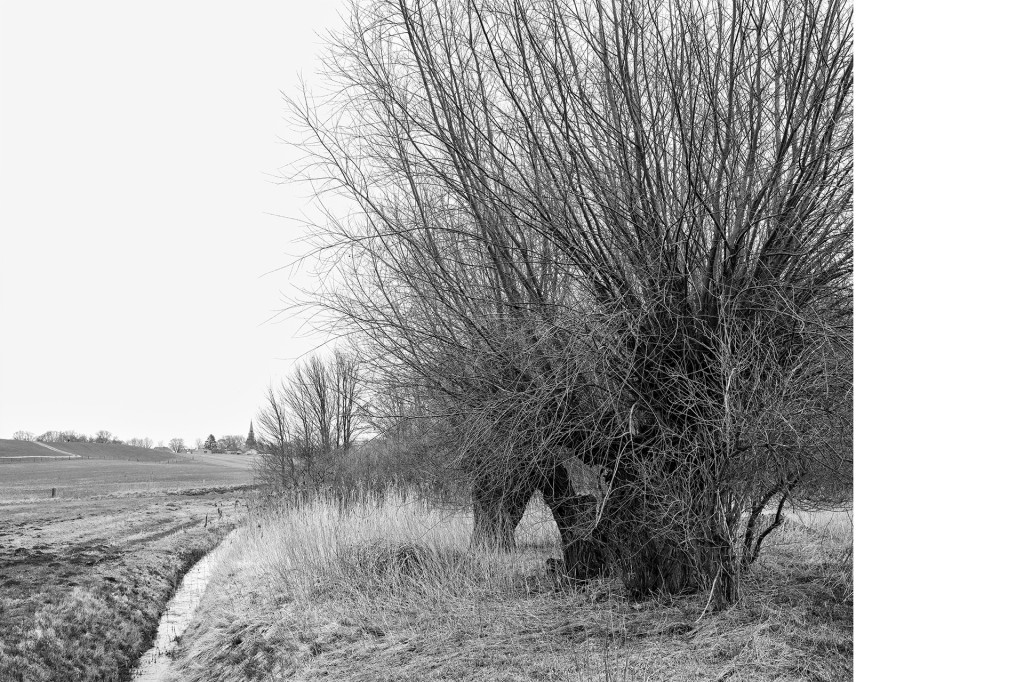 Der Weg #10, aus dem Projekt 