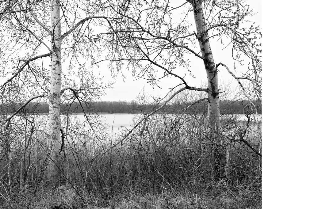 Fotografie Der Weg #17, aus dem Projekt 