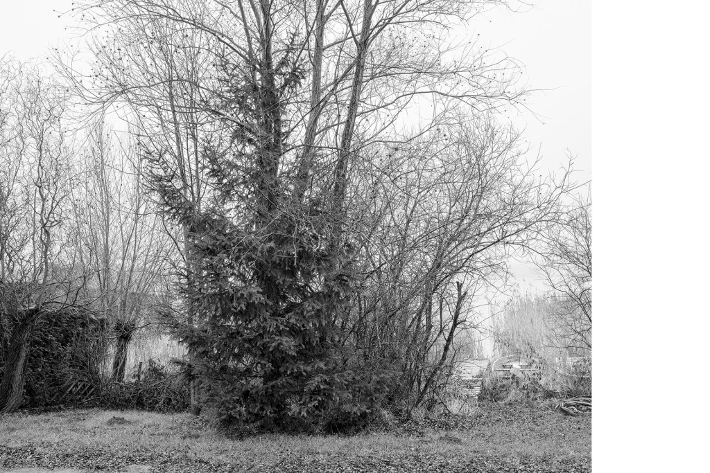 Der Weg #29, aus dem Projekt 