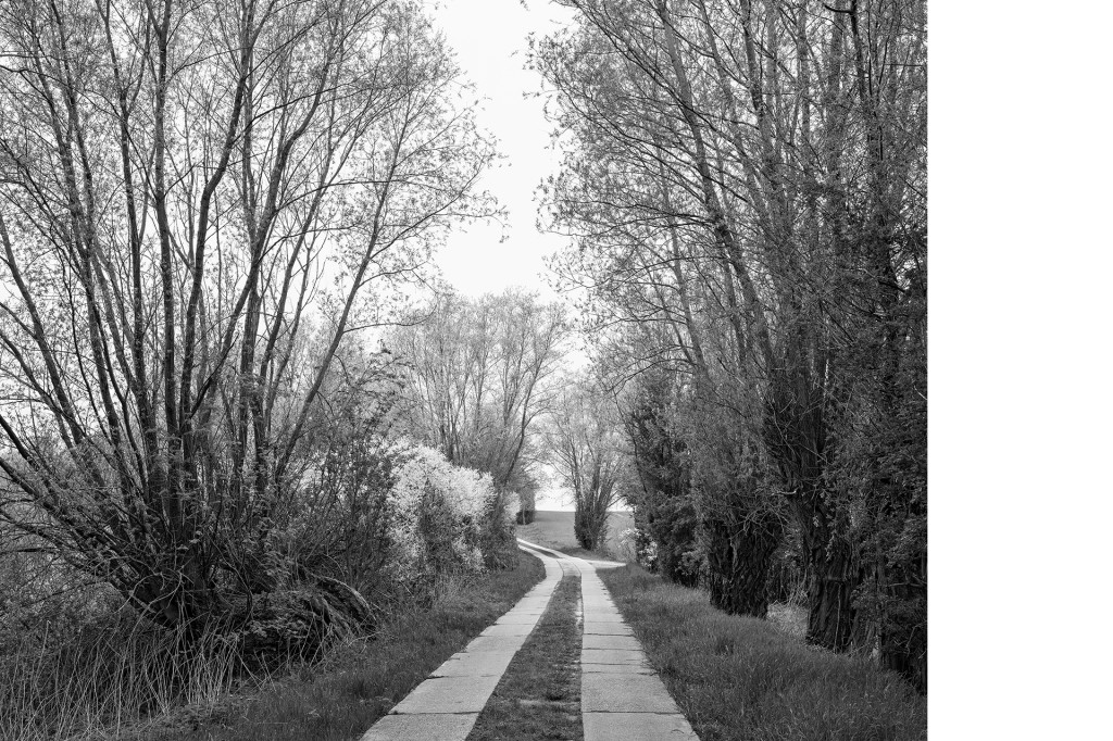 Fotografie Der Weg #26, aus dem Projekt 