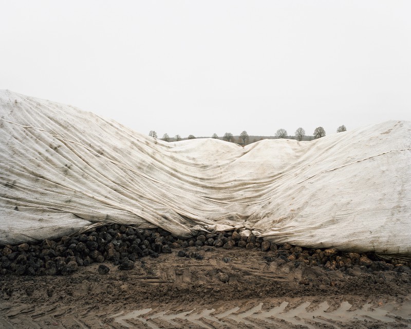 Bei Bredenfelde, Hinterland, H-C Schink