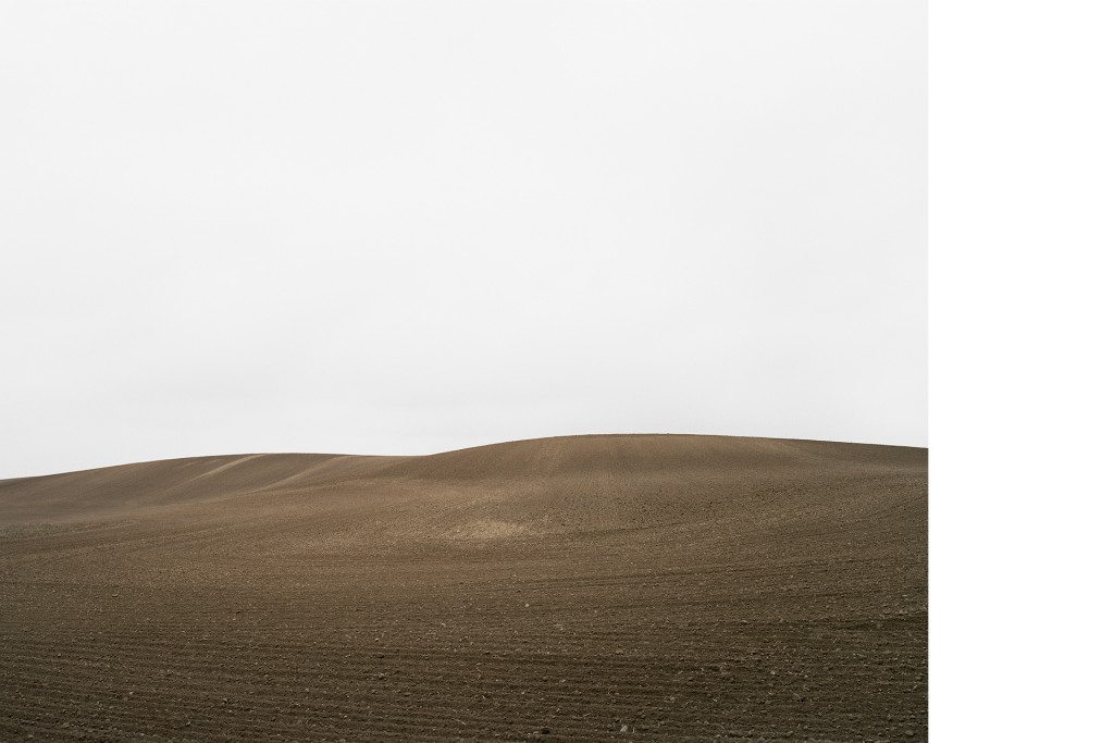 Zwischen Plath und Rehberg, 