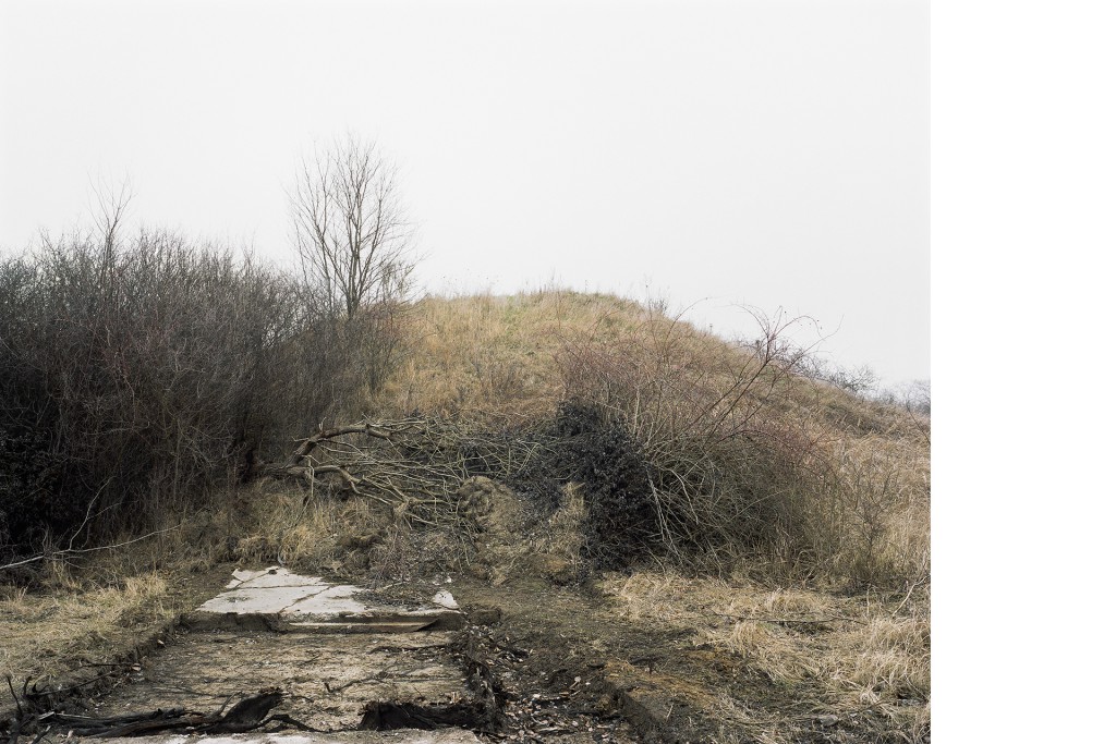 Georgendorf, Projekt 