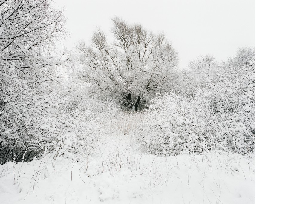 Zwischen Bredenfelde und Ballin, 