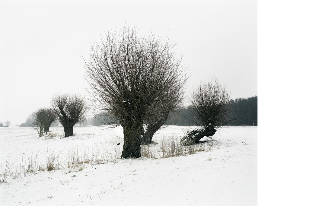 Zwischen Hildebrandshagen und Bülowssiege