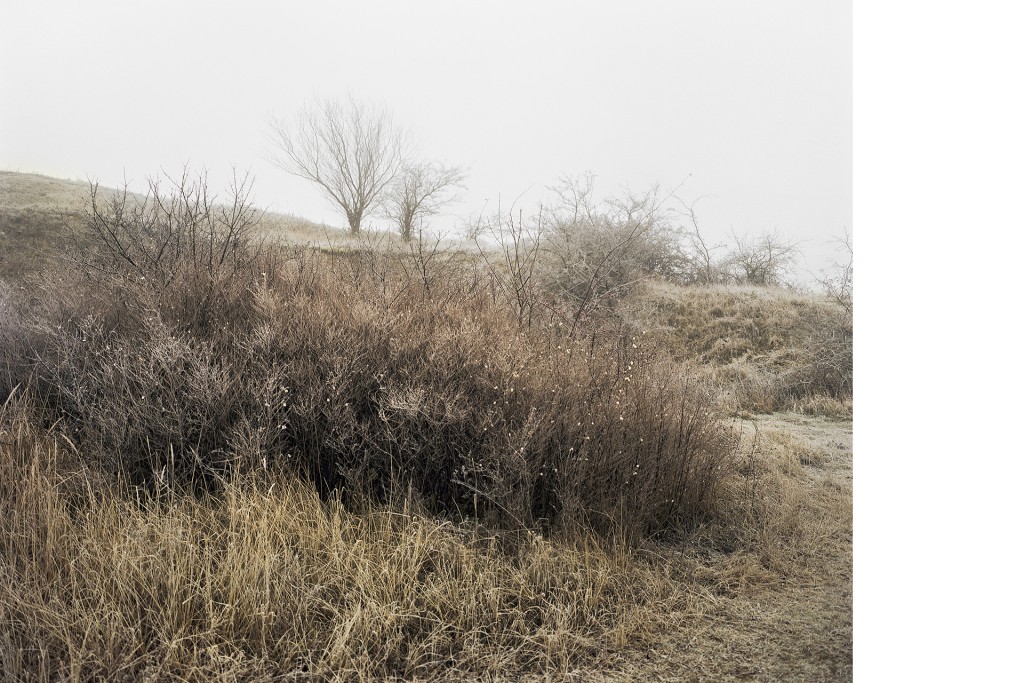 Zwischen Helpt und Woldegk