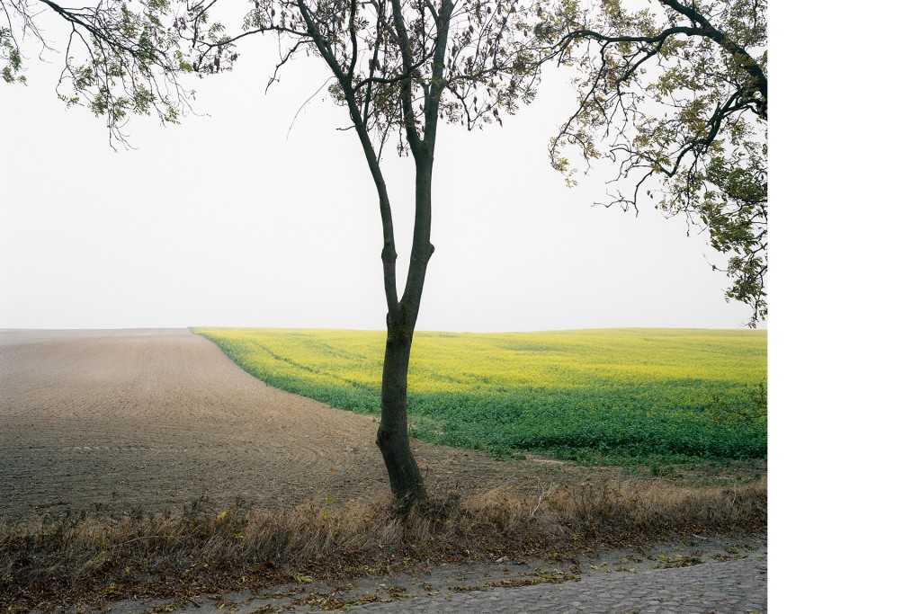 Zwischen Lemmersdorf und Kleisthöhe