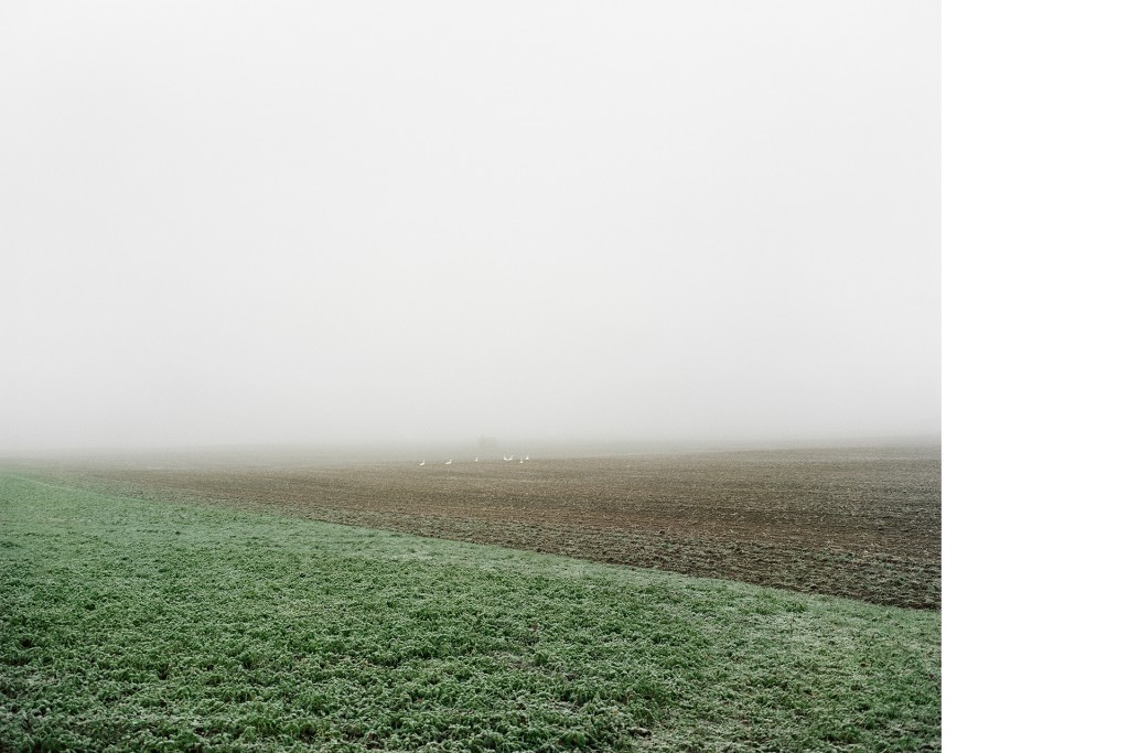 Zwischen Petersdorf und Pasenow, 