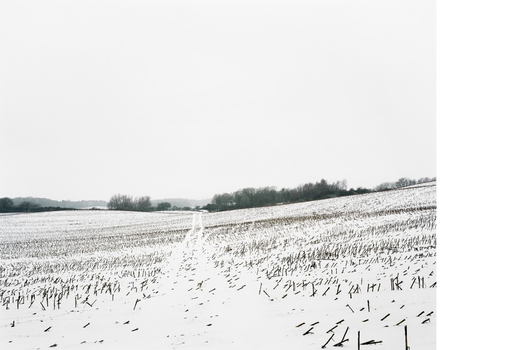 Zwischen Fürstenwerder und Parmen, 