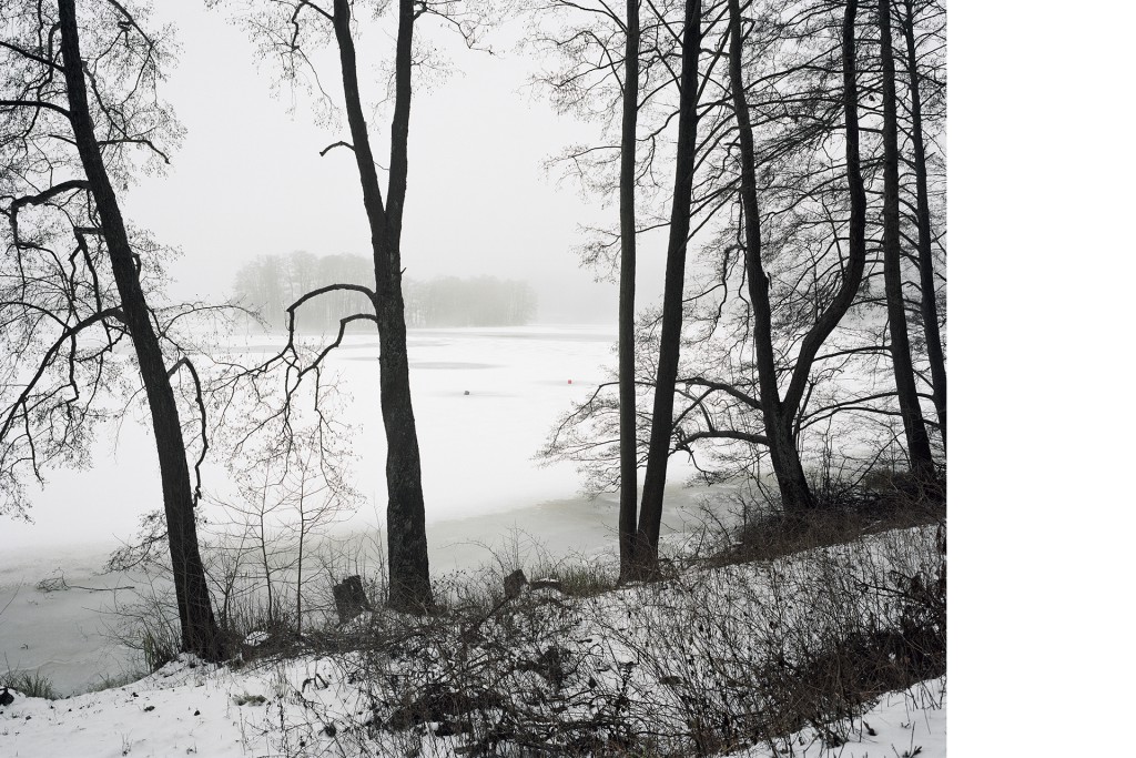Am Breiten Luzin, Projekt 