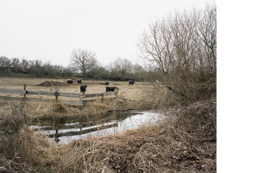 Bei Hildebrandshagen (2)