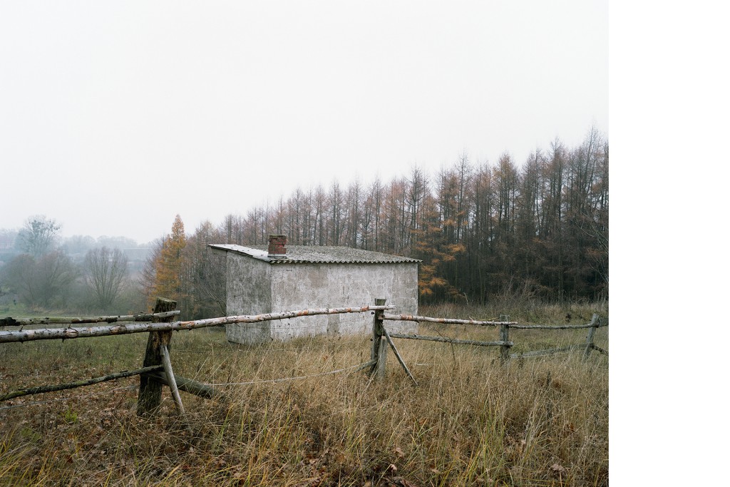 Schönhausen, Projekt 