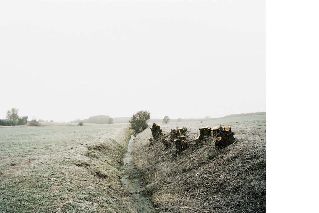 Zwischen Plath und Petersdorf