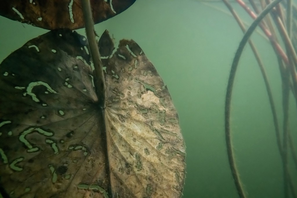 Unter Wasser, Hans-Christian Schink