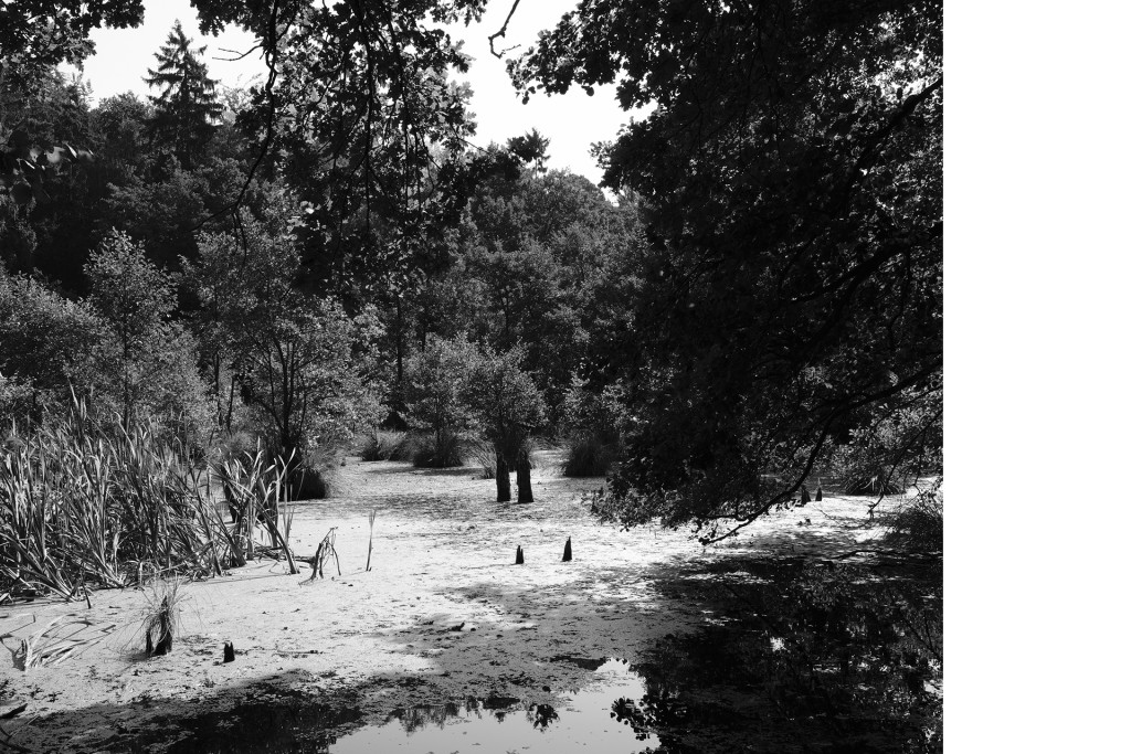 Unter Wasser von Hans-Christian Schink