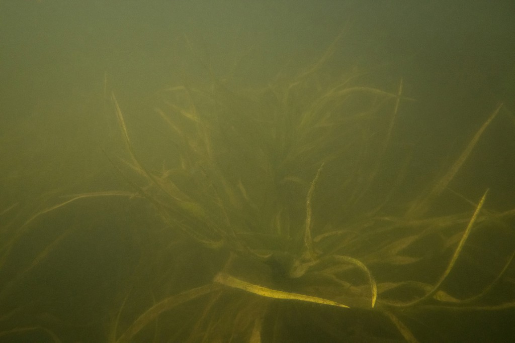 Unter Wasser, Hans-Christian Schink