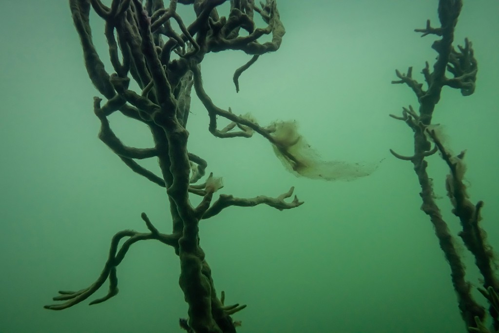 Unter Wasser #31, Projekt 