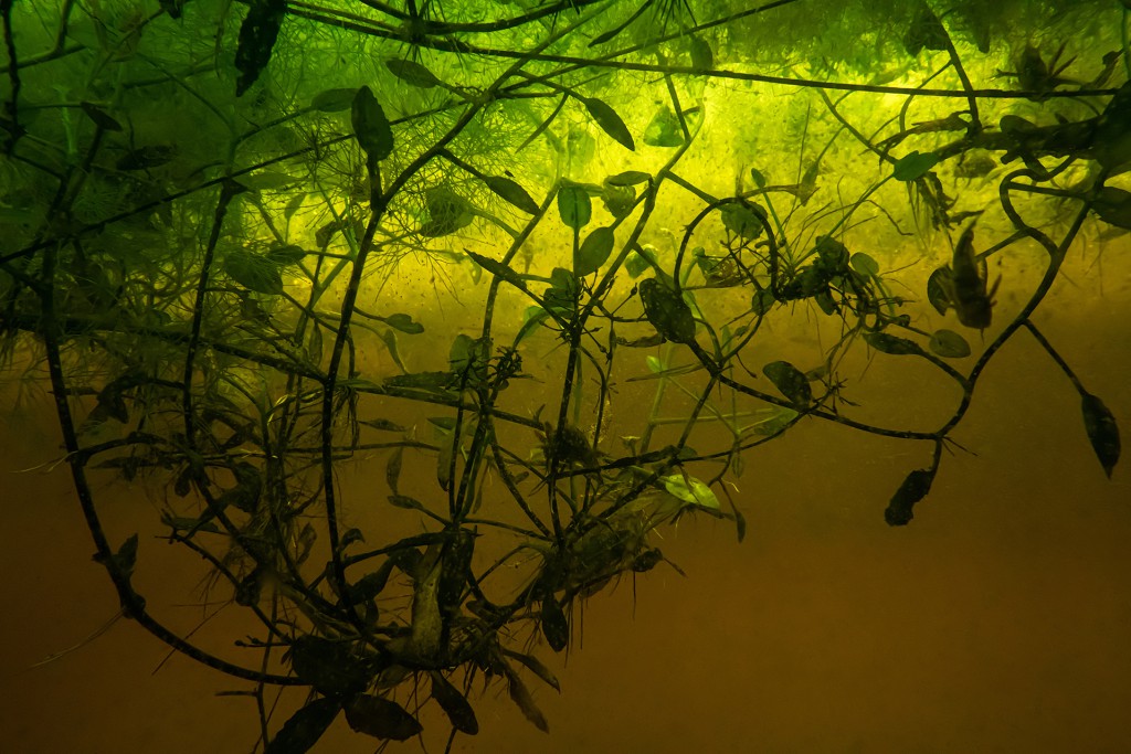 Unter Wasser, Hans-Christian Schink