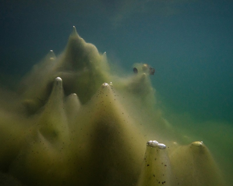 Unter Wasser von Hans-Christian Schink
