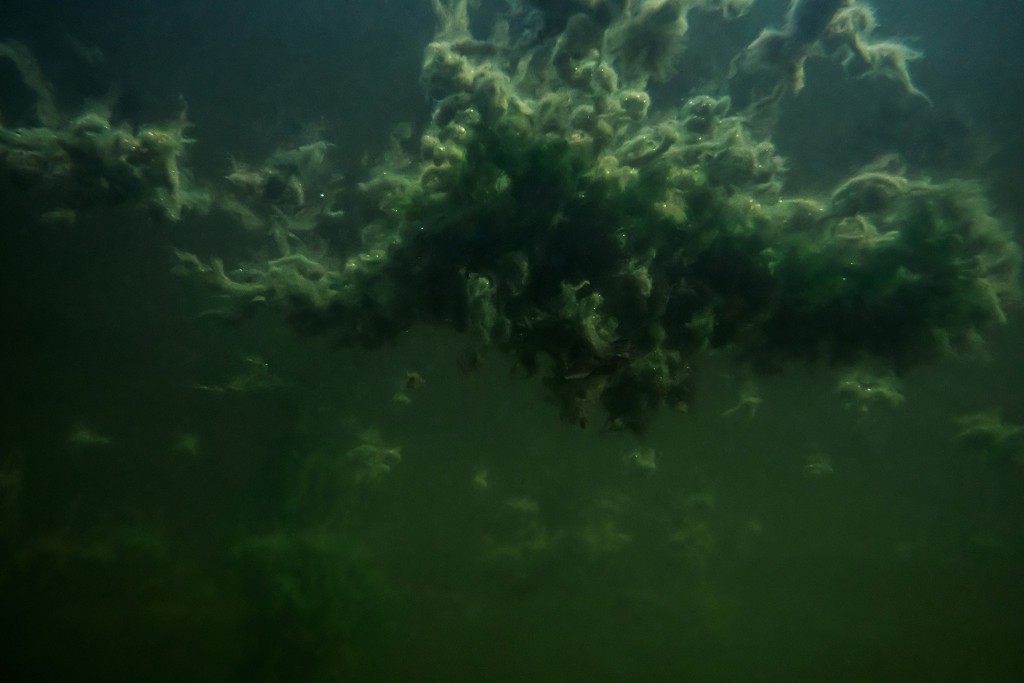 Unter Wasser, Hans-Christian Schink