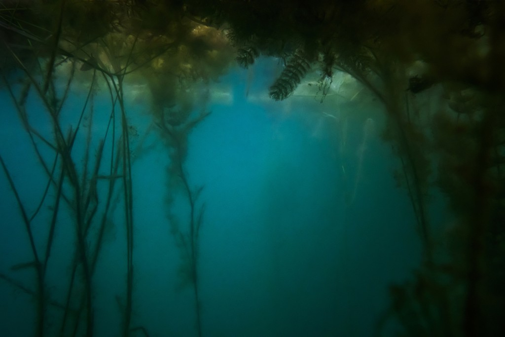 Unter Wasser, Hans-Christian Schink