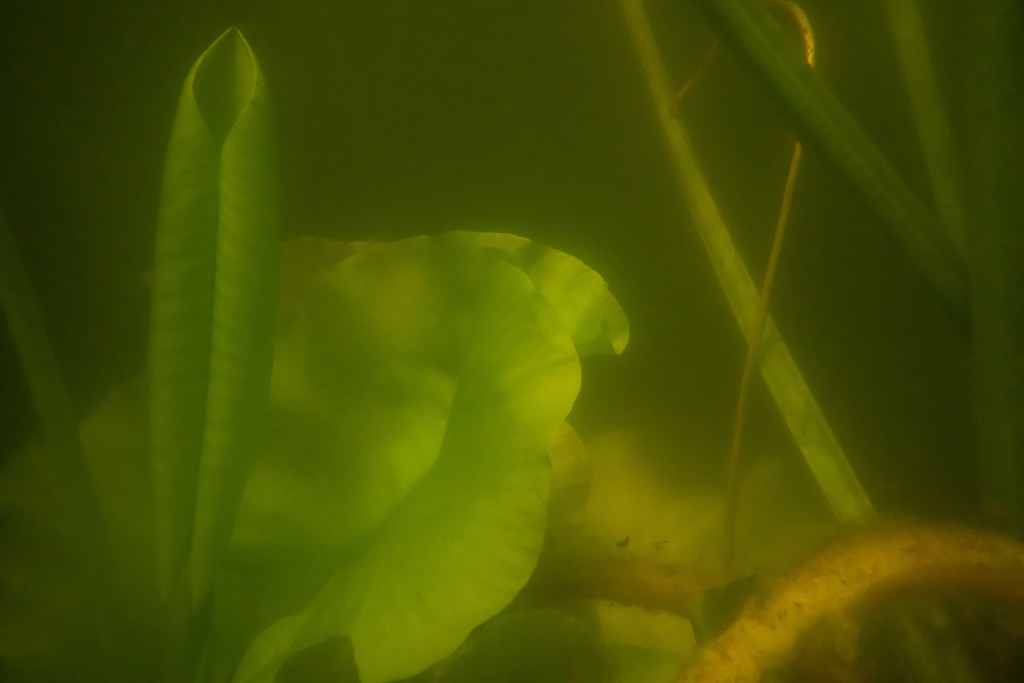 Unter Wasser, Hans-Christian Schink