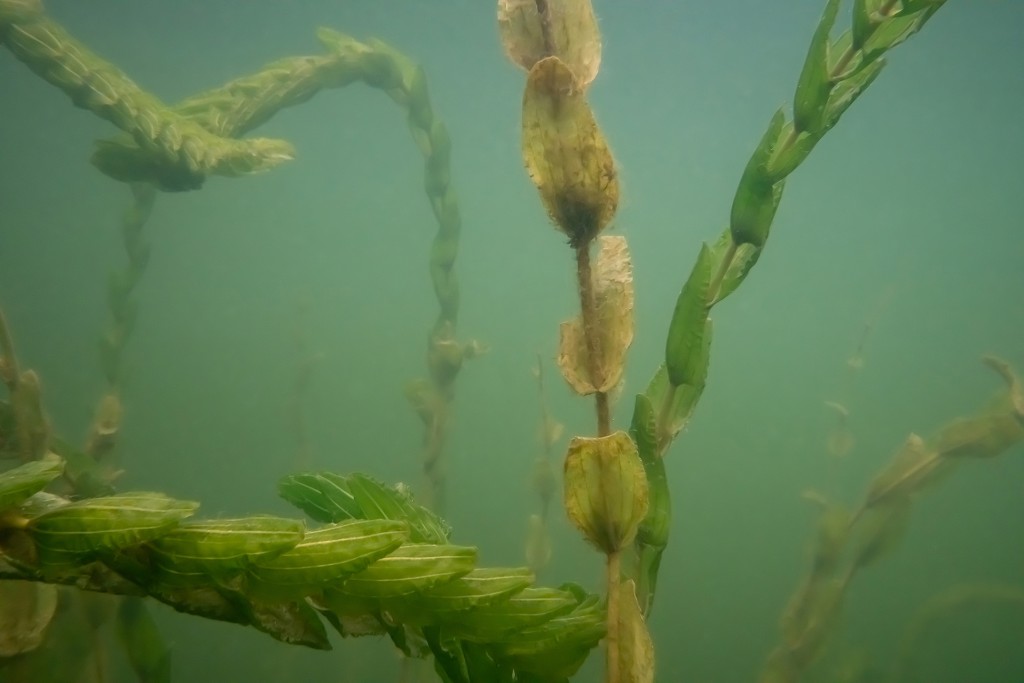 Unter Wasser, Hans-Christian Schink