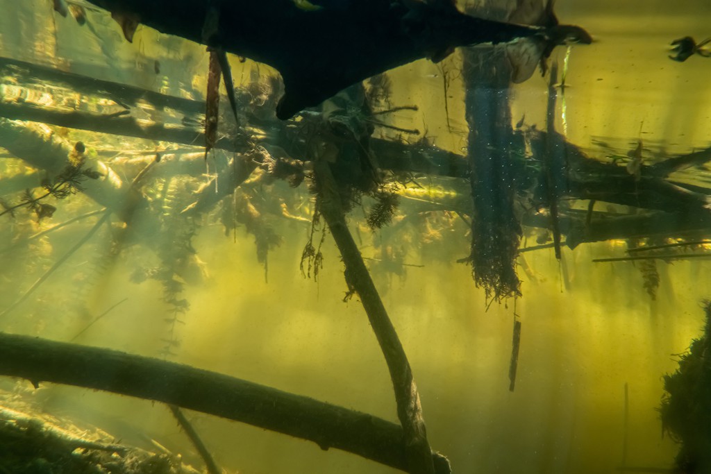 Unter Wasser, Hans-Christian Schink