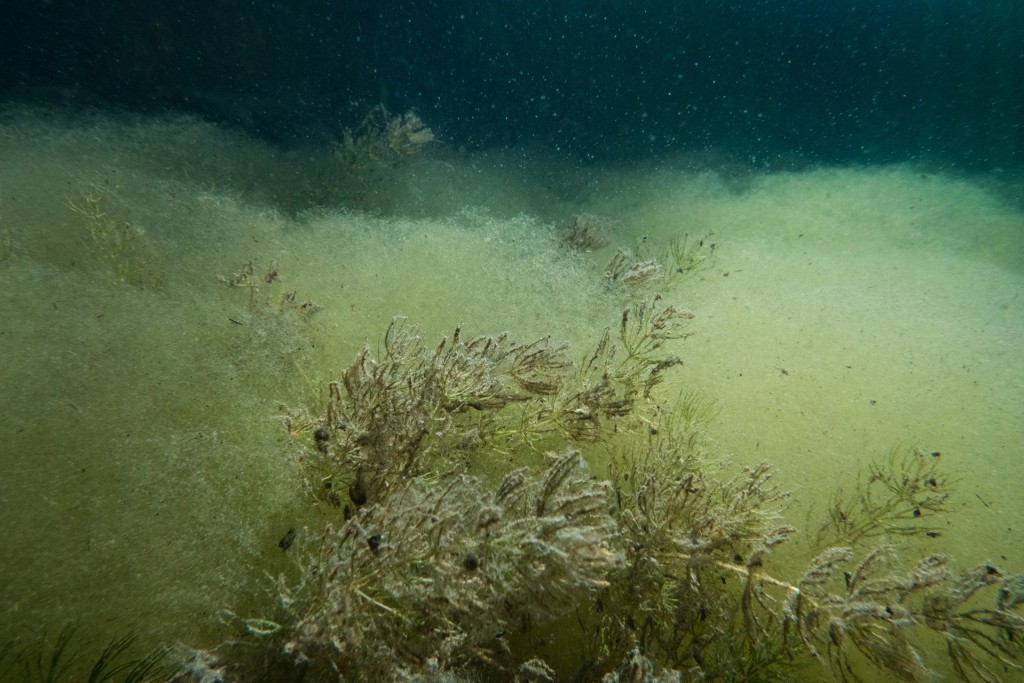 Unter Wasser, Hans-Christian Schink