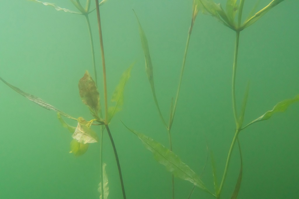 Unter Wasser, Hans-Christian Schink