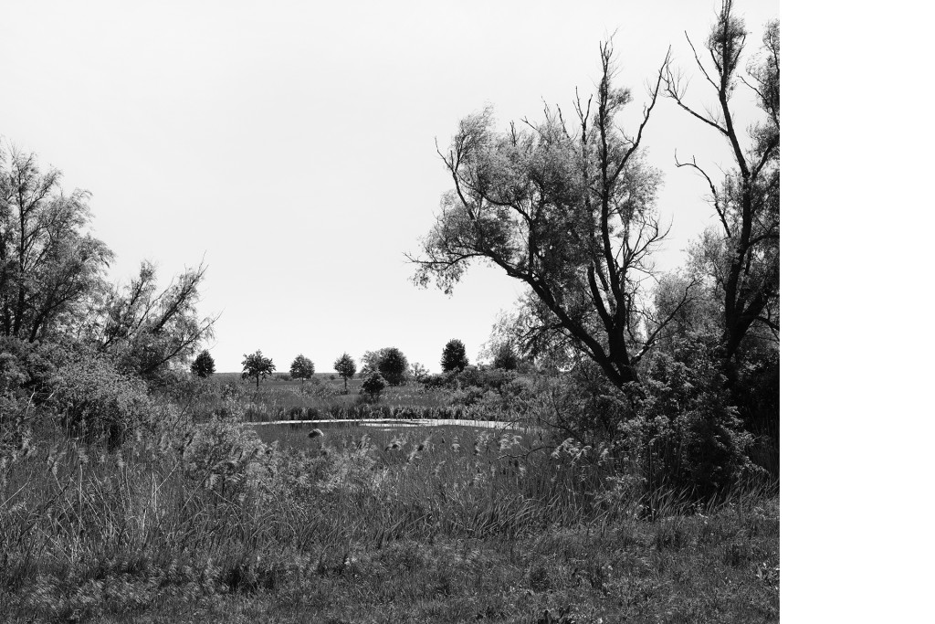 Soll bei Rehberg, Unter Wasser von Hans-Christian Schink