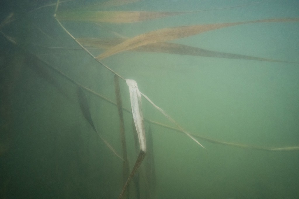 Unter Wasser, Hans-Christian Schink