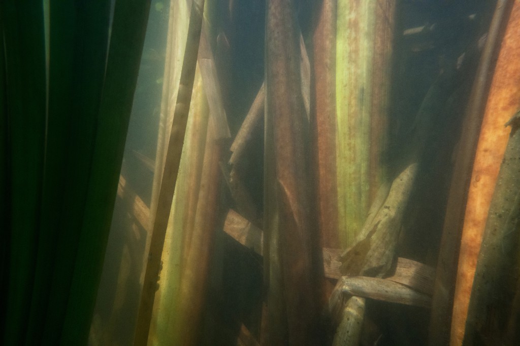 Unter Wasser, Hans-Christian Schink