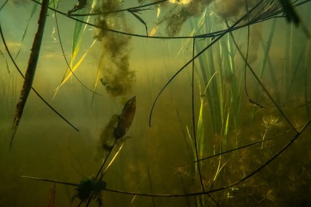 Unter Wasser, Hans-Christian Schink