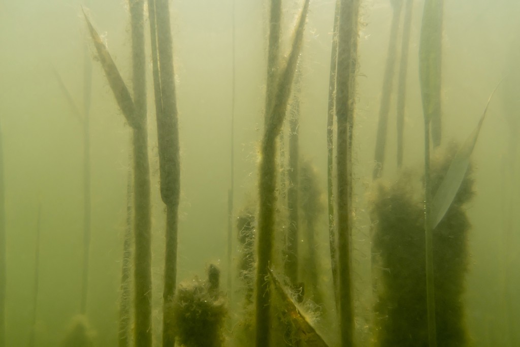 Unter Wasser, Hans-Christian Schink