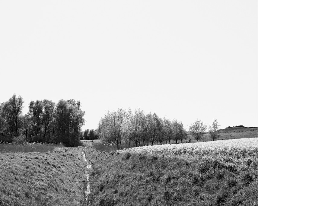 Meliorationsgraben bei Plath, Projekt 