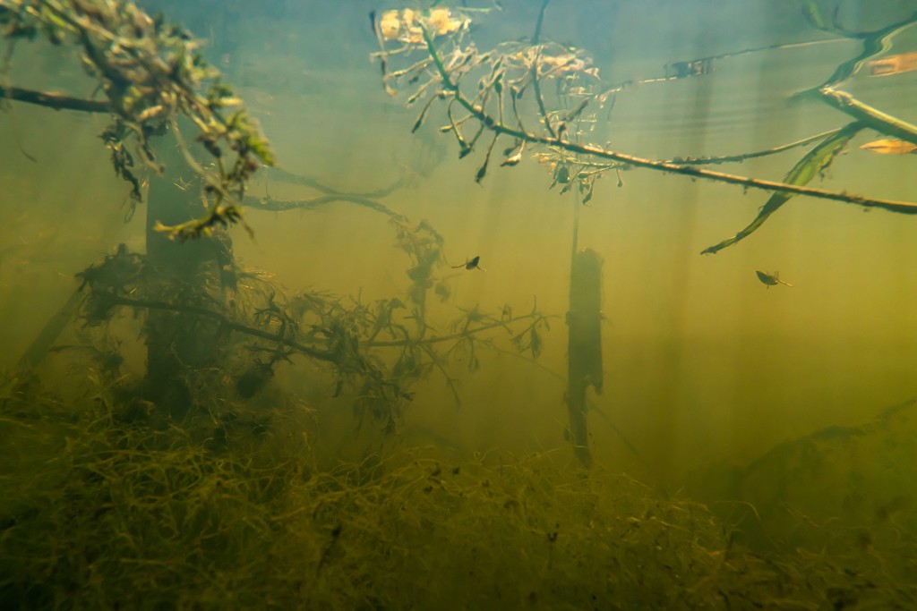 Unter Wasser, Hans-Christian Schink